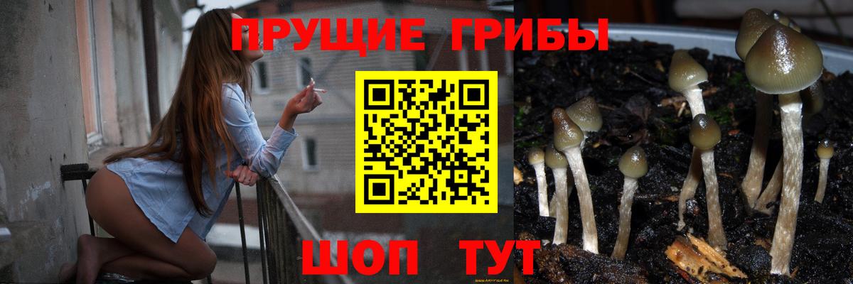 Галлюциногенные грибы прущие грибы  Вход с VPN  наркота  Урус-Мартан 