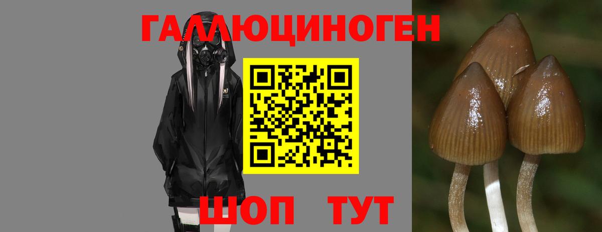 АМФЕТАМИН Урус-Мартан